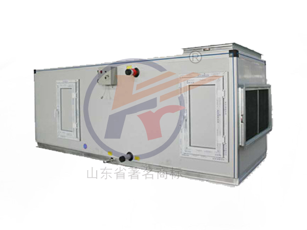 Combination air handling unit